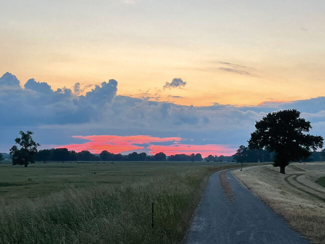 Konzert Todundgluecklich
